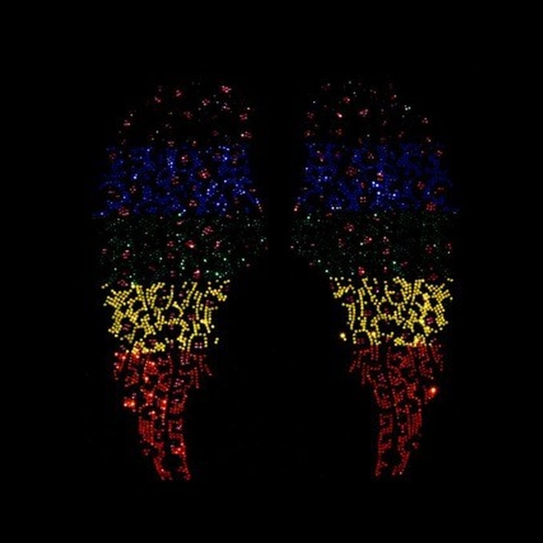 Rhinestop Colorful Leopard Wings Rhinestone Heat Transfer Design