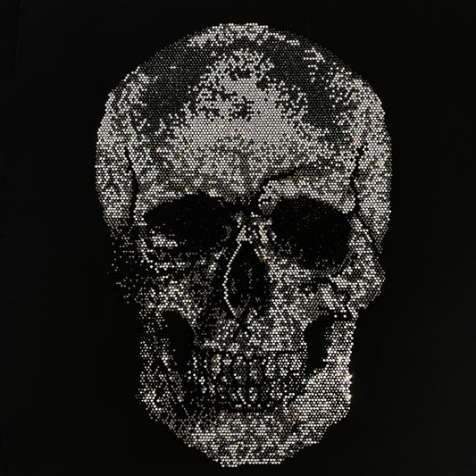 Silver Black Skull Iron on Rhinestone Design by Rhinestop