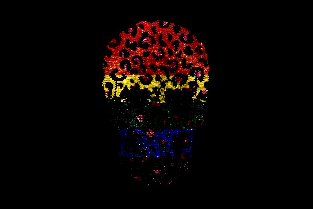 Rhinestop MultiColor Leopard Skull Iron on Rhinestone Design