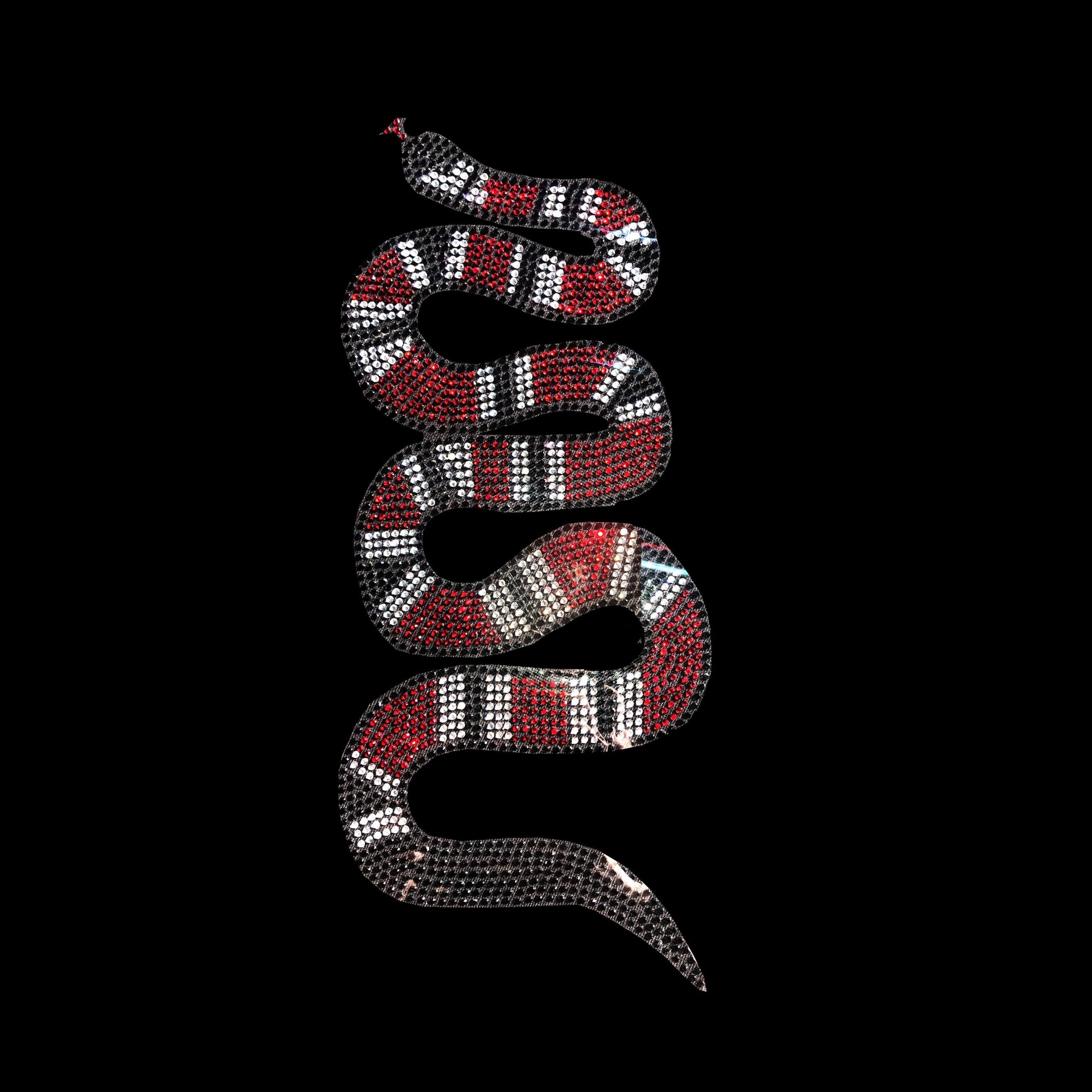 Red Snake Rhinestone Iron on Design Transfer Motif By Rhinestop – Rhinestop